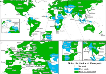 Global distribution of Microcystis.jpg